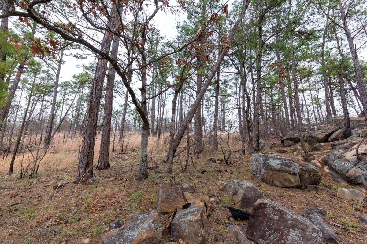 Decorative background for Stone Bridge Phase III Tract 137 image 5