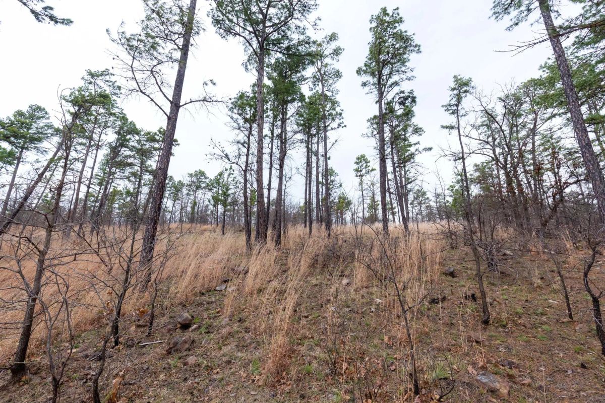 Decorative background for Stone Bridge Phase III Tract 137 image 6
