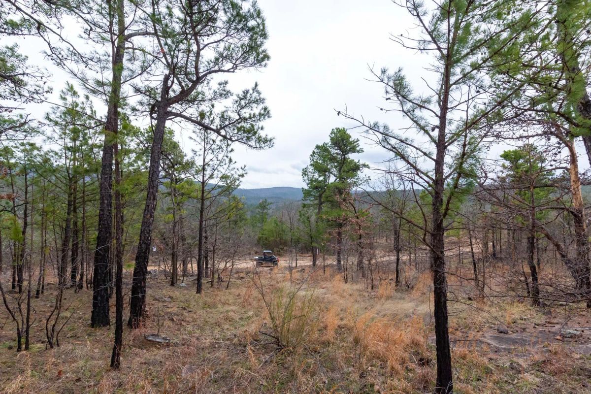 Decorative background for Stone Bridge Phase III Tract 137 image 8