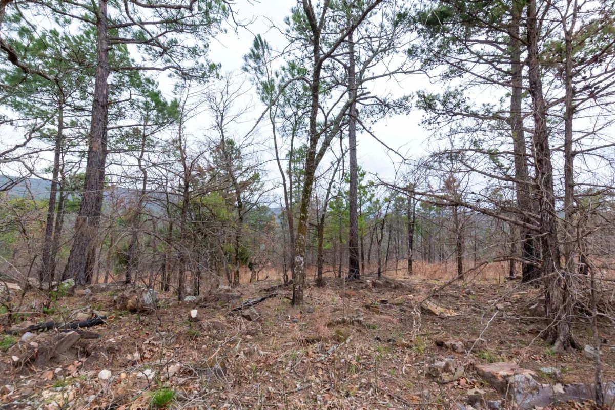 Decorative background for Stone Bridge Phase III Tract 137 image 9