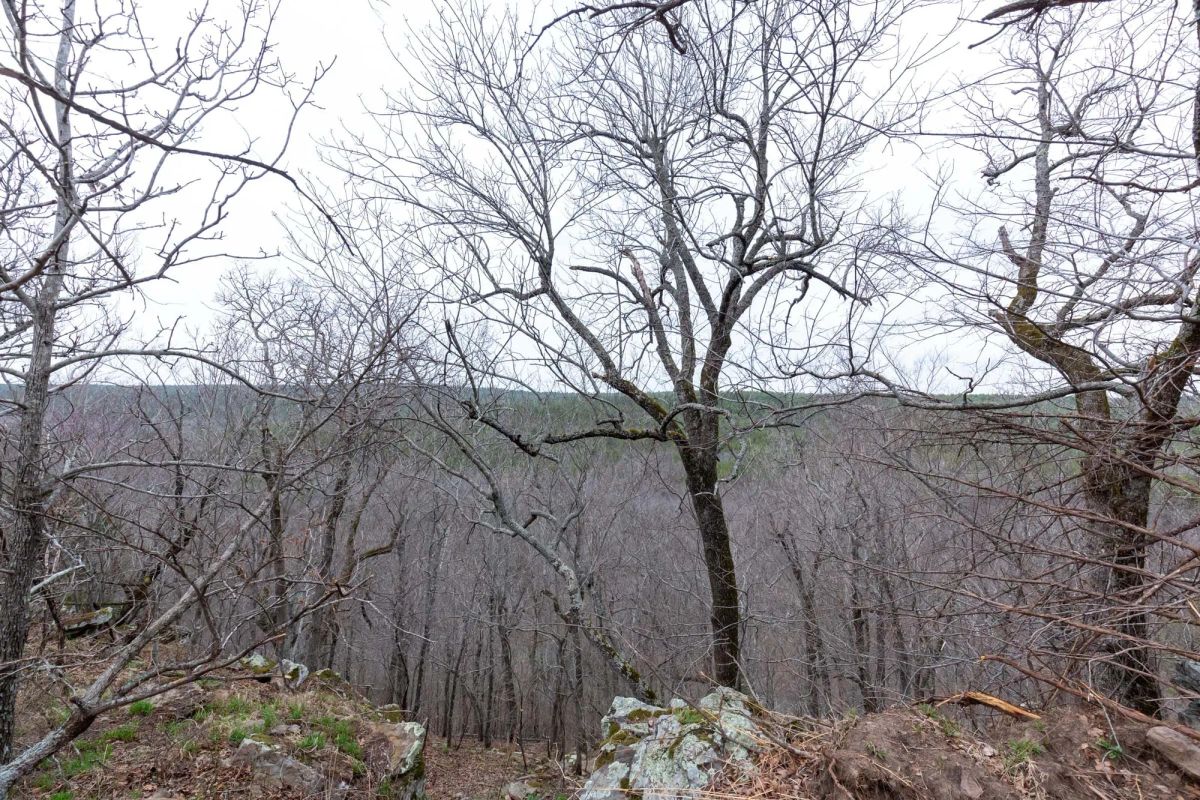 Decorative background for Stone Bridge Phase III Tract 137 image 10