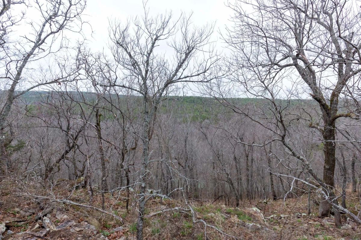 Decorative background for Stone Bridge Phase III Tract 137 image 11