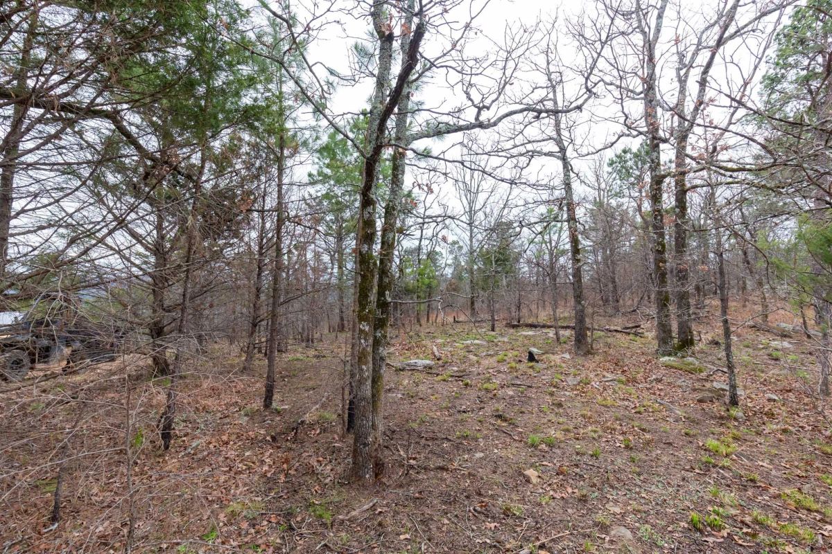 Decorative background for Stone Bridge Phase III Tract 137 image 12