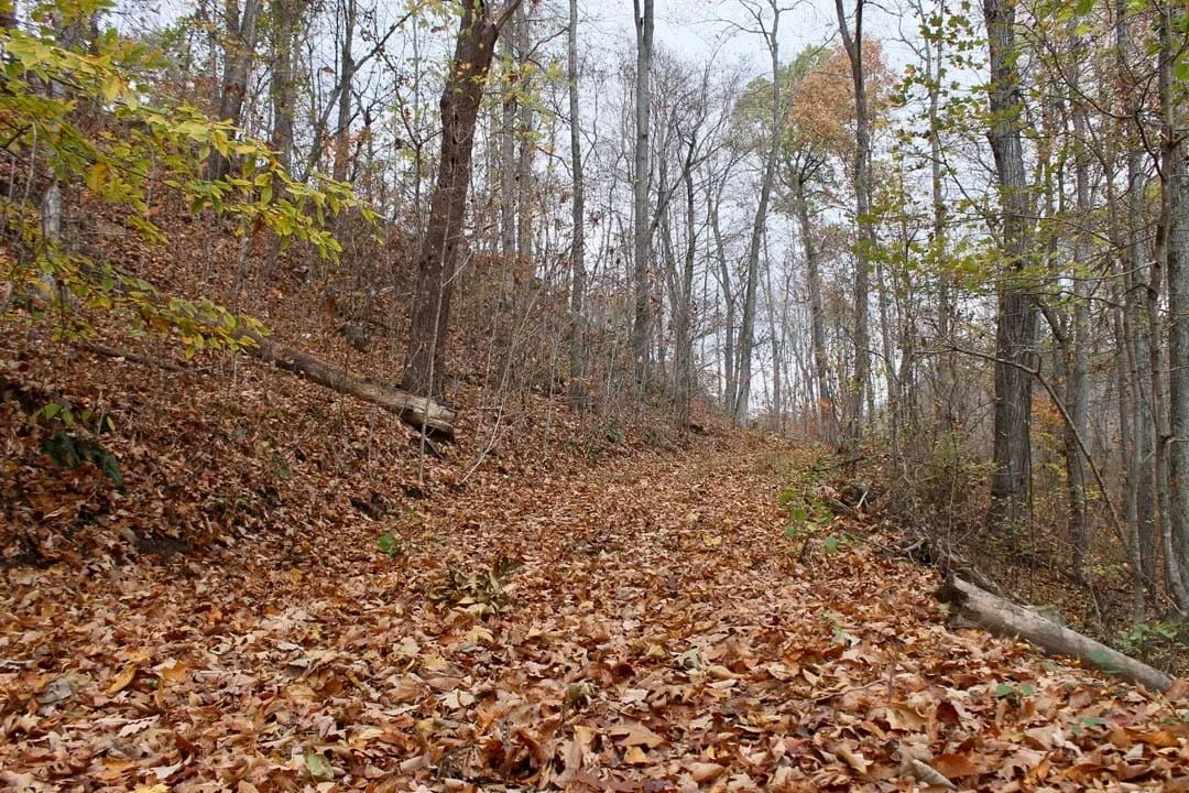Autumn Ridge Tract 23 - Main image