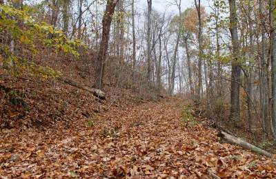 Autumn Ridge Tract 23