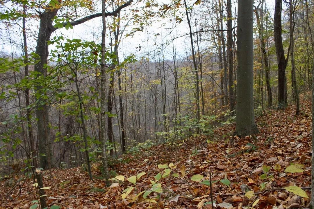 Autumn Ridge Tract 23 in Leslie County, KY