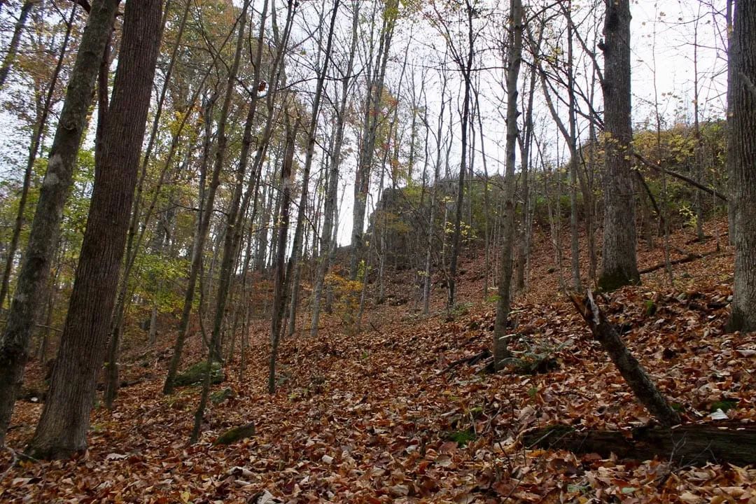 Autumn Ridge Tract 23 - Image 3