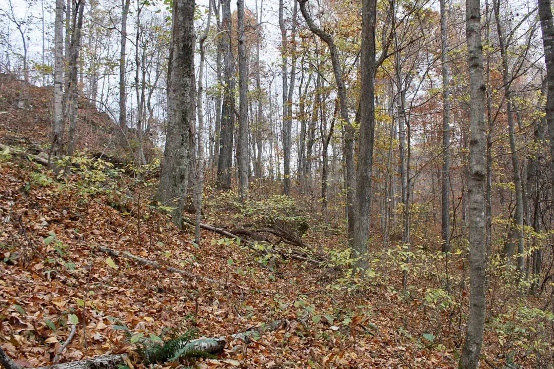 Autumn Ridge Tract 23 in Leslie County, KY