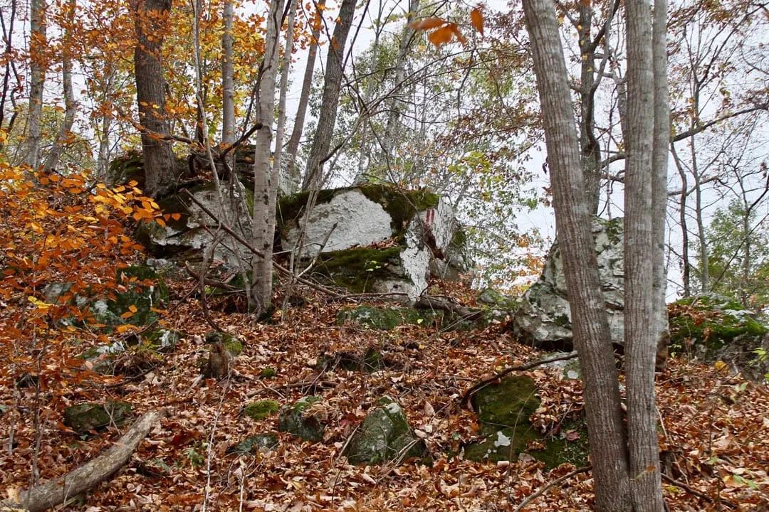Decorative background for Autumn Ridge Tract 23 image 19