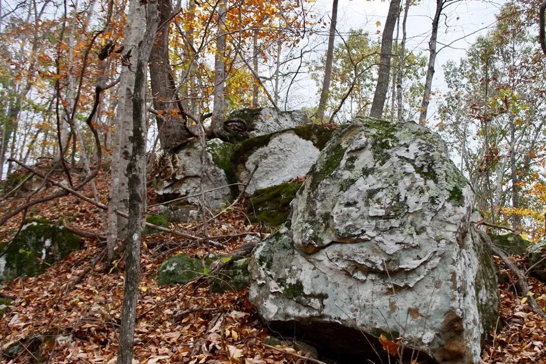 Decorative background for Autumn Ridge Tract 23 image 22