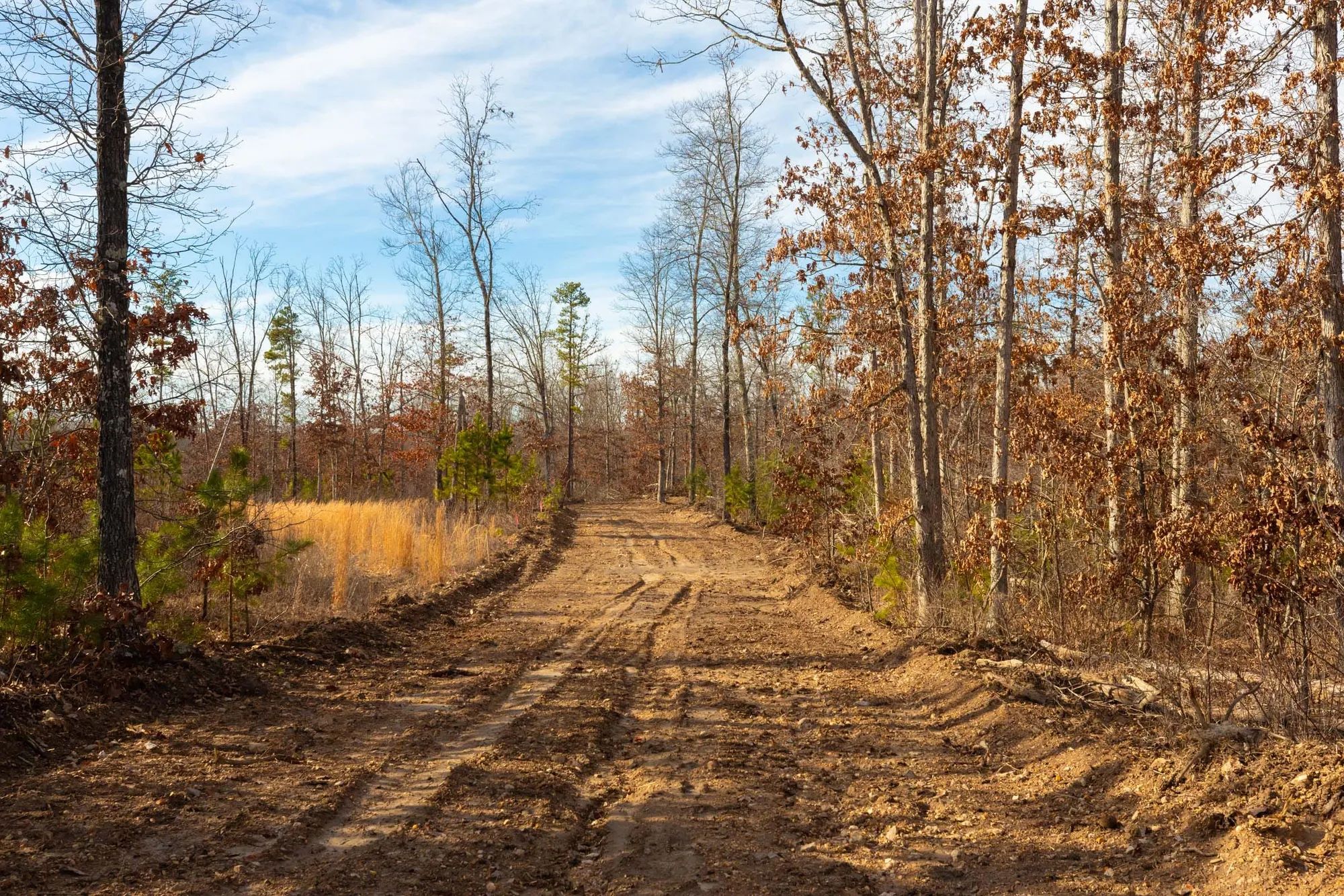 Windy Ridge Tract 6 in Texas County, MO