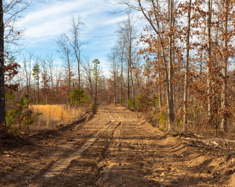 Windy Ridge Tract 6 in Texas County, MO