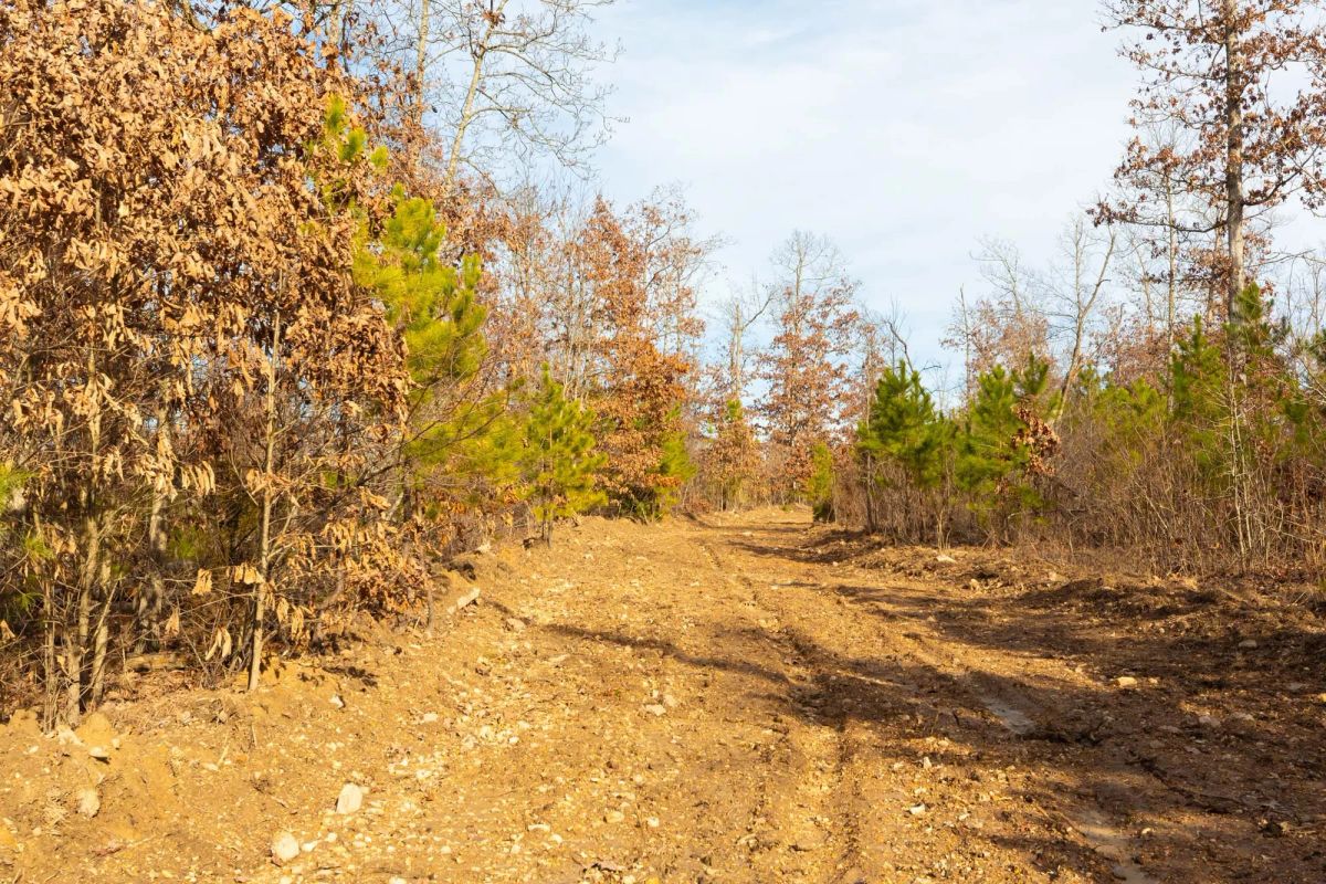 Decorative background for Windy Ridge Tract 6 image 8