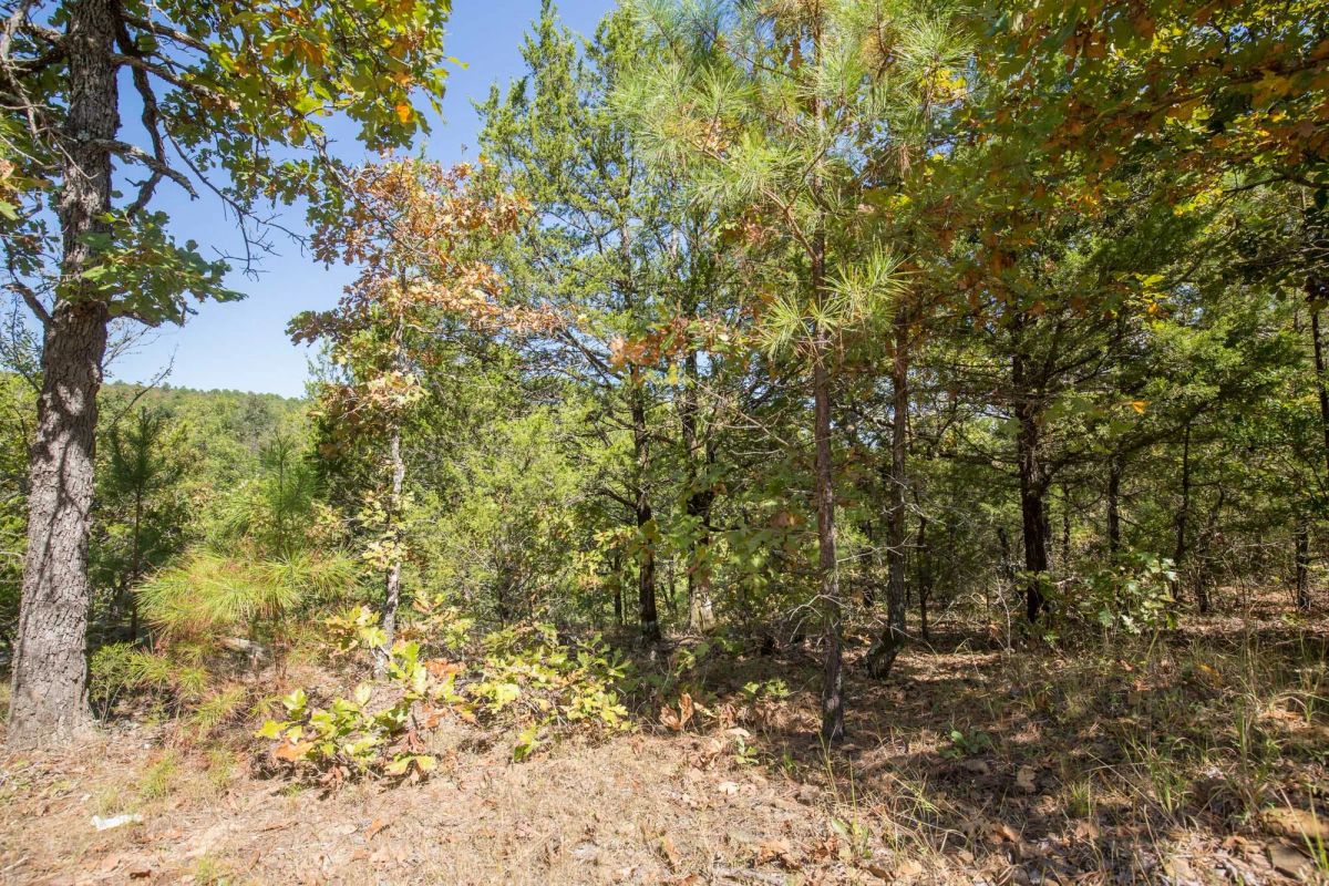 Decorative background for Stone Bridge Phase I Tract 20 image 5