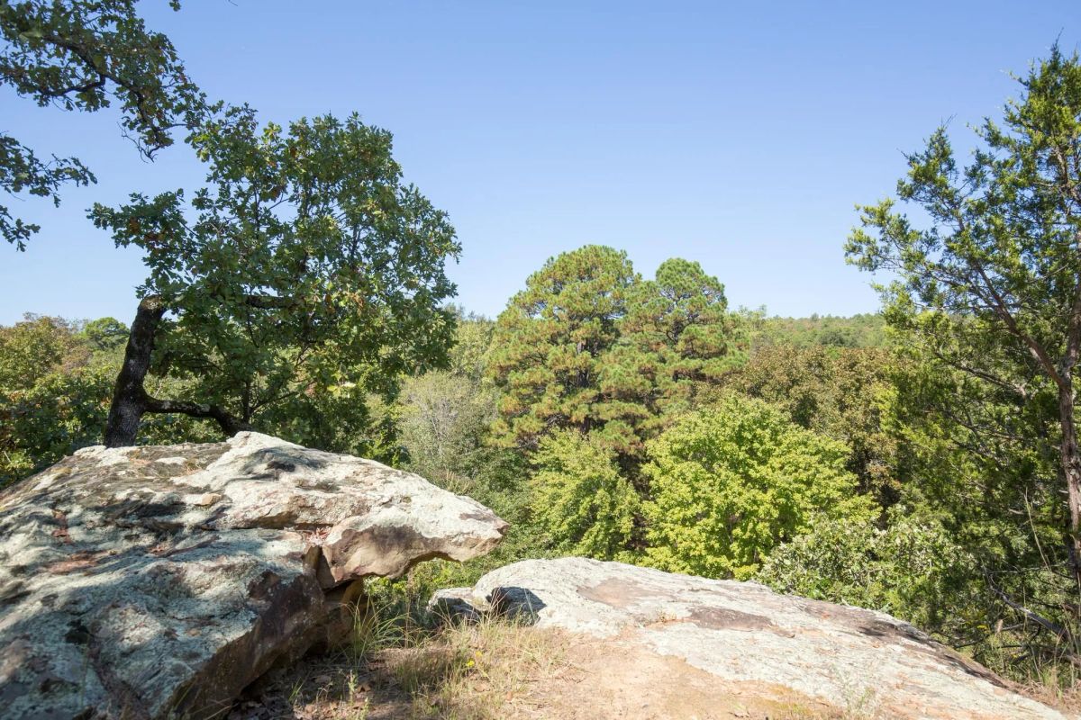 Decorative background for Stone Bridge Phase I Tract 20 image 6