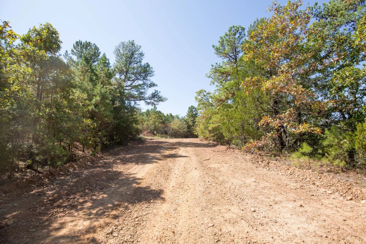 Decorative background for Stone Bridge Phase I Tract 20 image 9