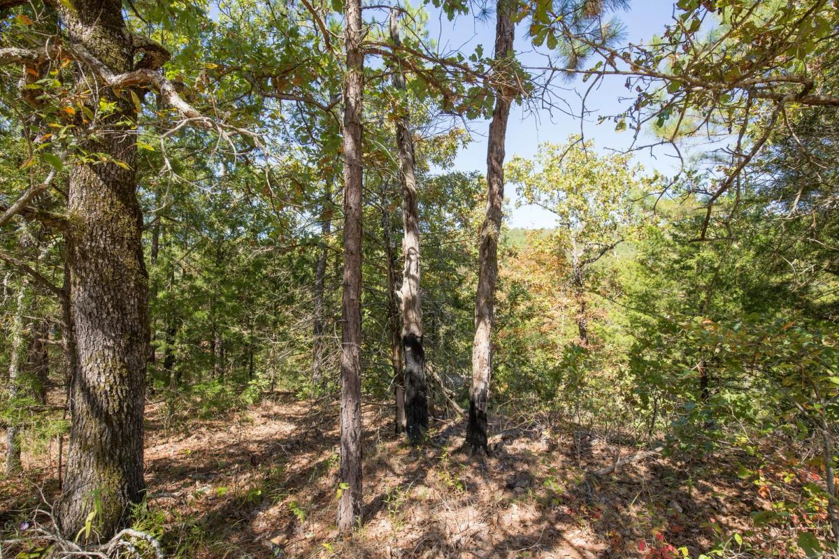 Decorative background for Stone Bridge Phase I Tract 20 image 10