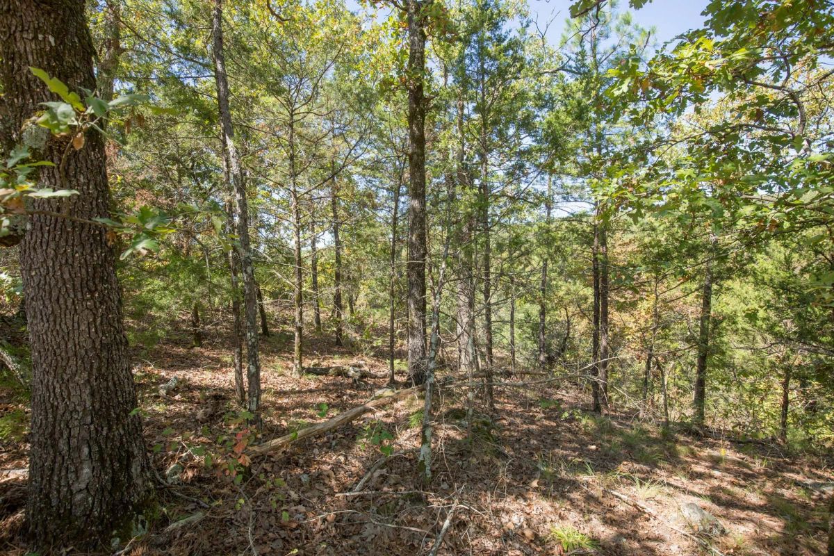 Decorative background for Stone Bridge Phase I Tract 20 image 11