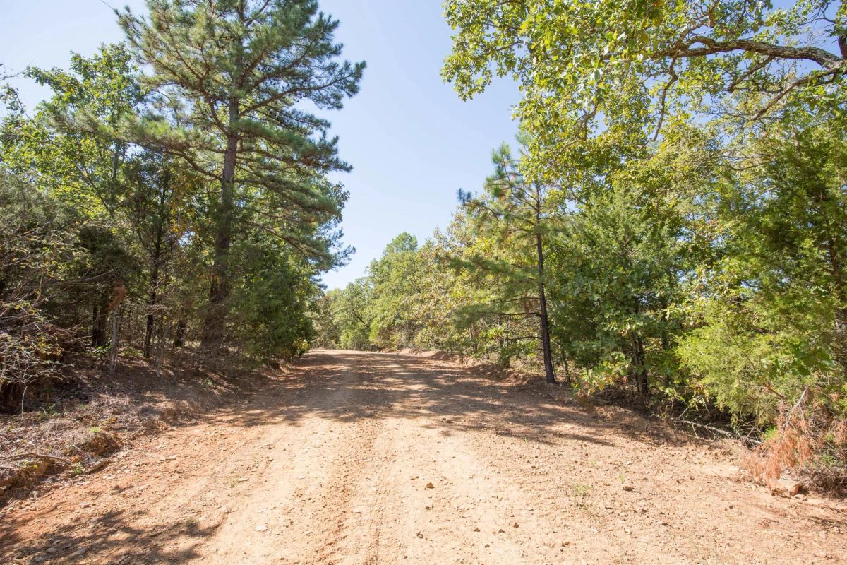 Decorative background for Stone Bridge Phase I Tract 20 image 12