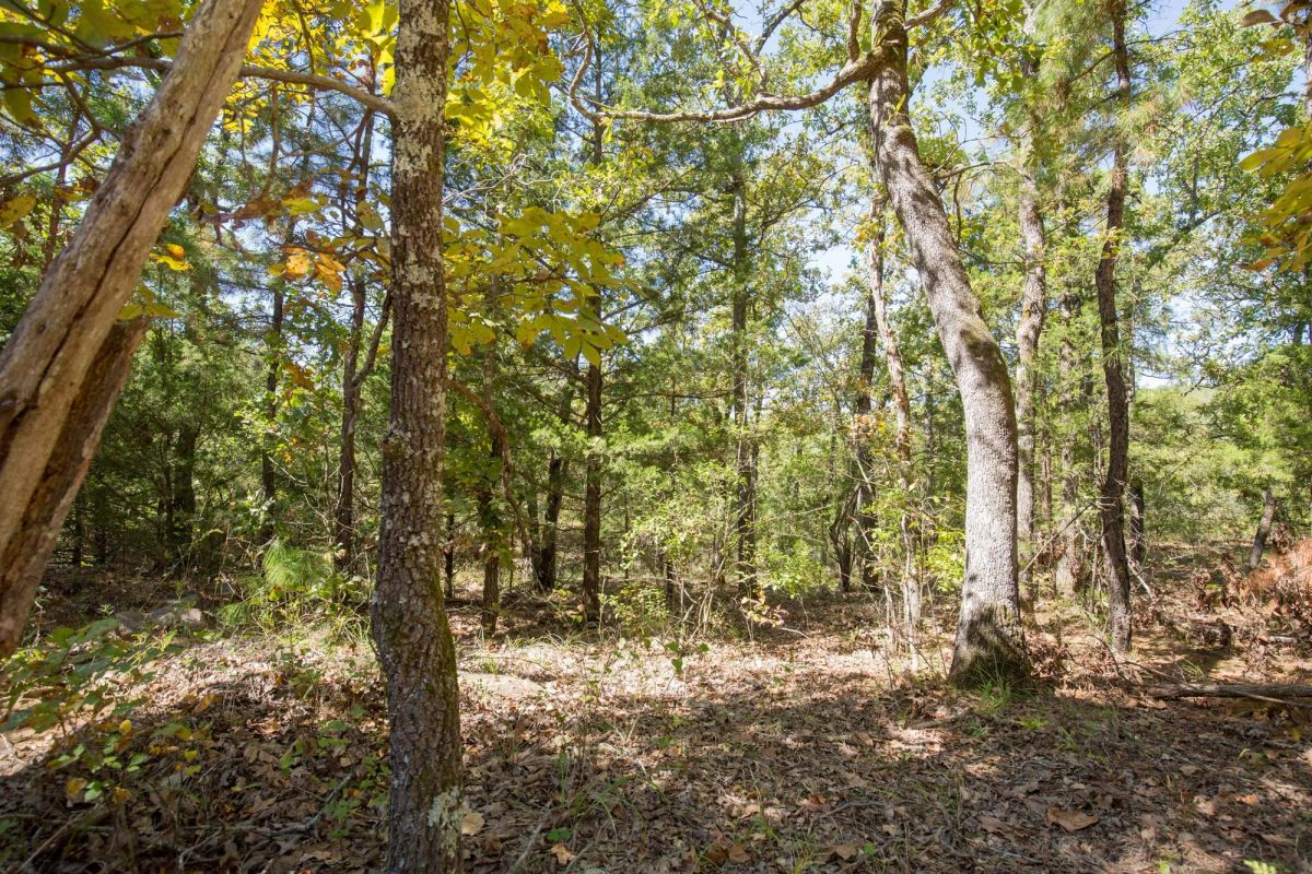 Decorative background for Stone Bridge Phase I Tract 20 image 14