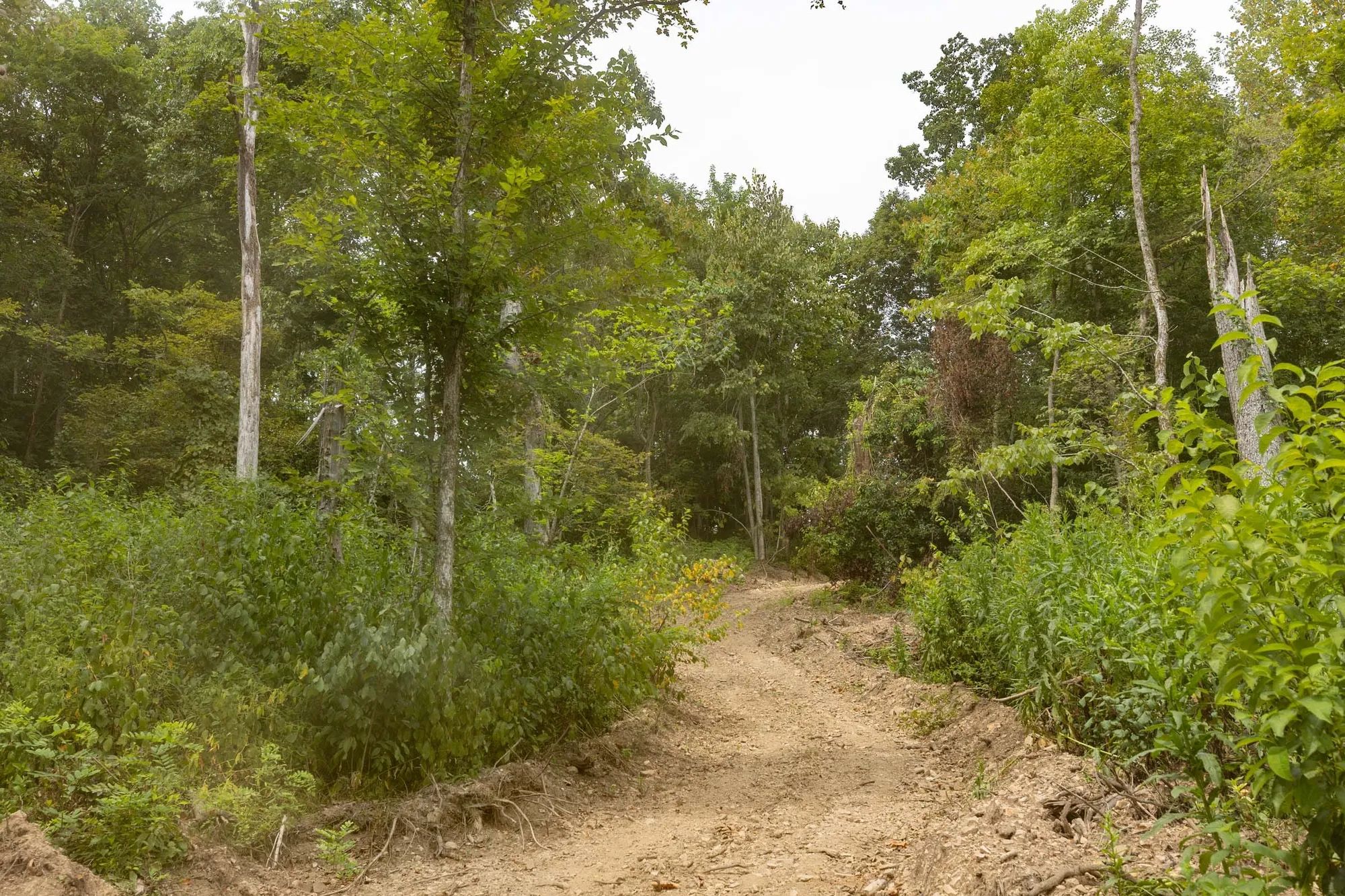 Big White Oak Tract 130 in Perry County, TN