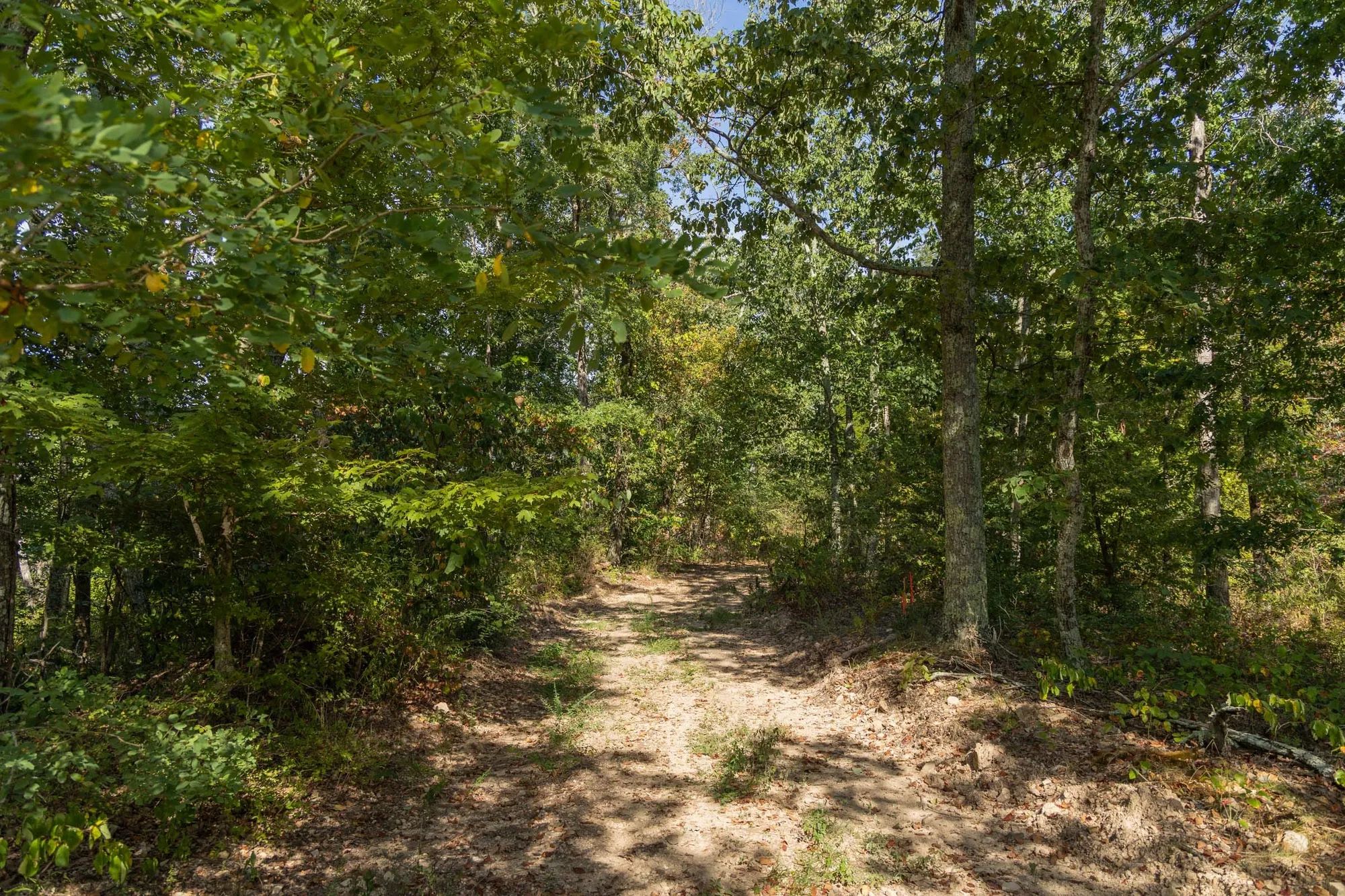 Big White Oak Tract 130 in Perry County, TN