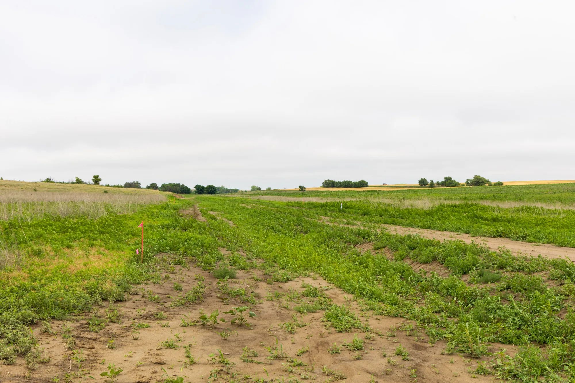 Crandall's Corner Tract 12 in Graham County, KS