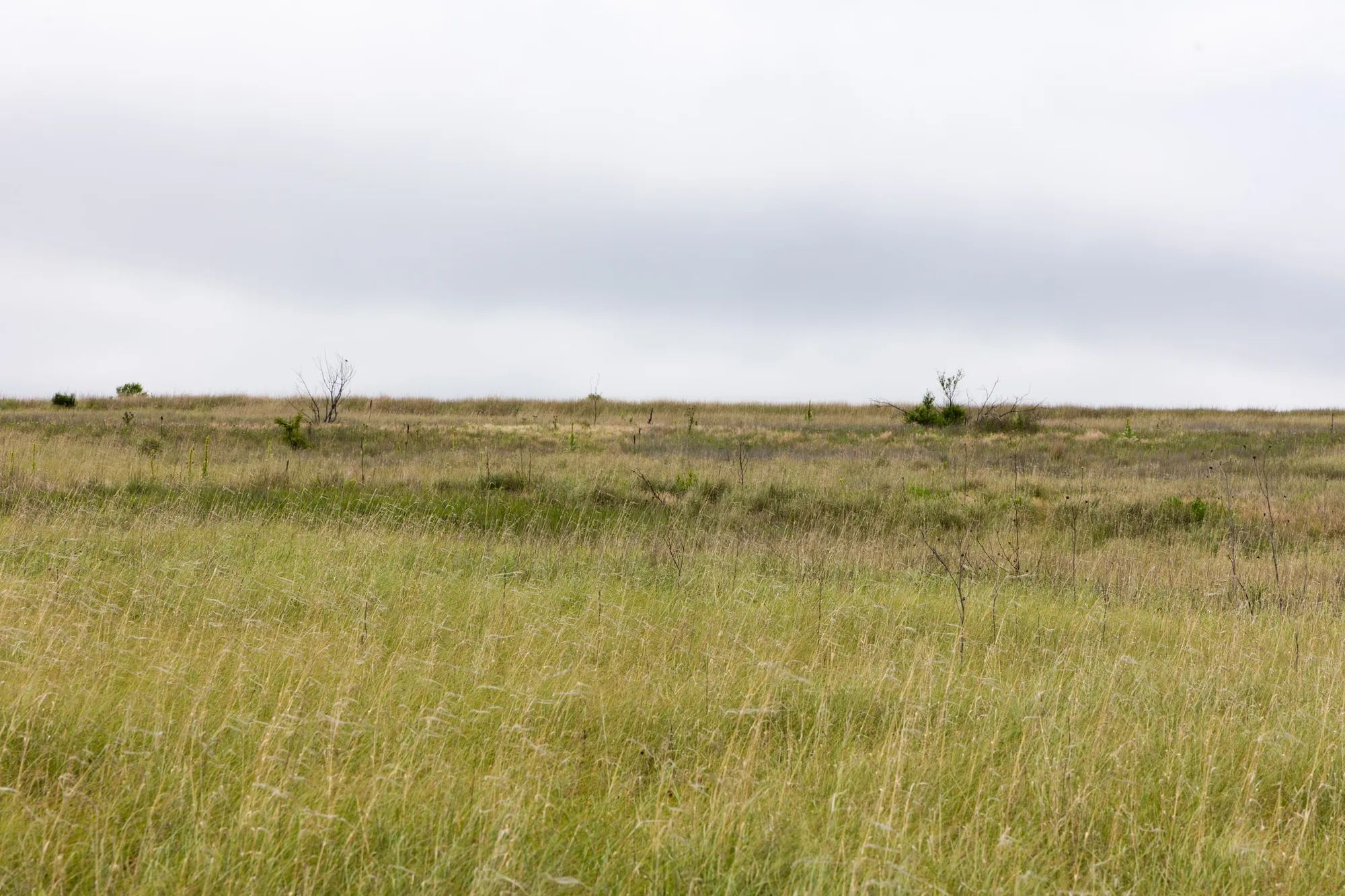 Crandall's Corner Tract 12 in Graham County, KS