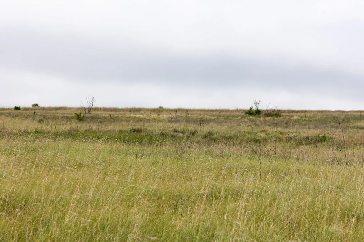 Crandall's Corner Tract 12 - Image 3