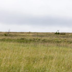 Crandall's Corner Tract 12 in Graham County, KS