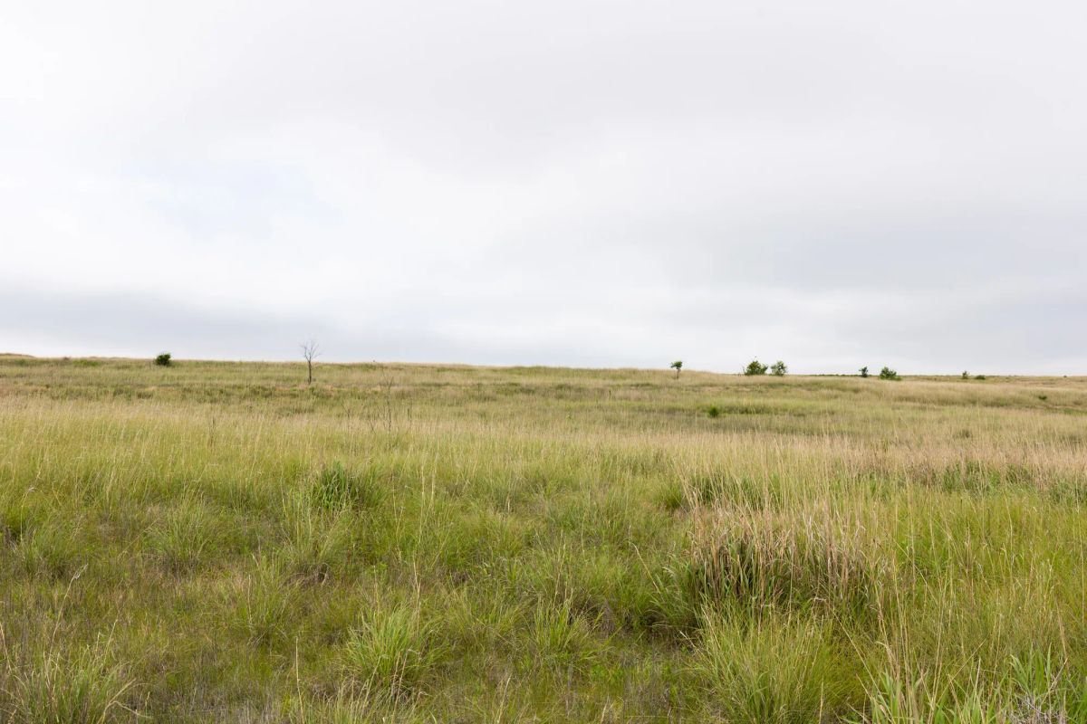 Decorative background for Crandall's Corner Tract 12 image 5