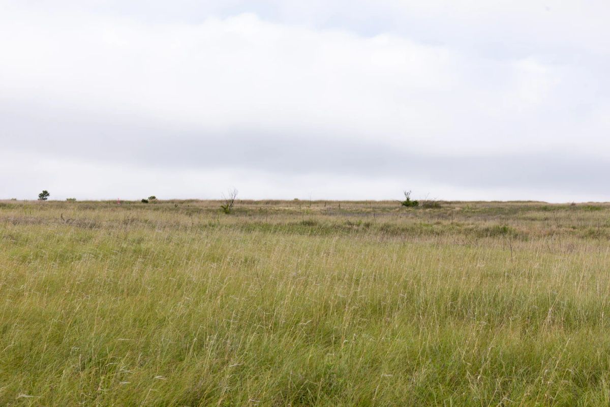 Decorative background for Crandall's Corner Tract 12 image 9