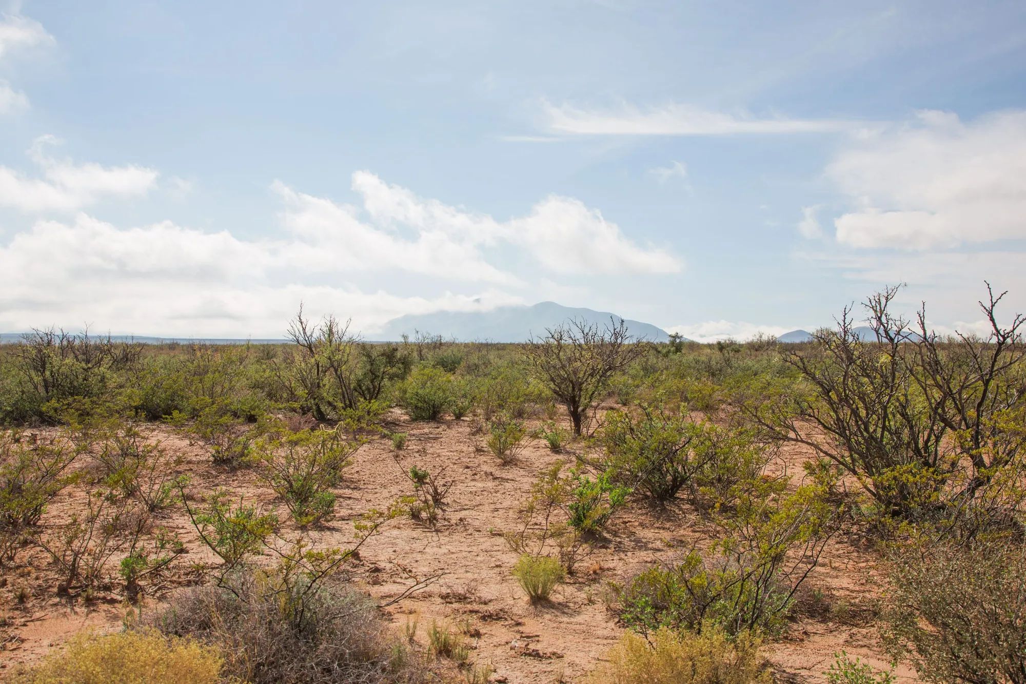 Sunset Ranches Tract 10 in Hudspeth County, TX
