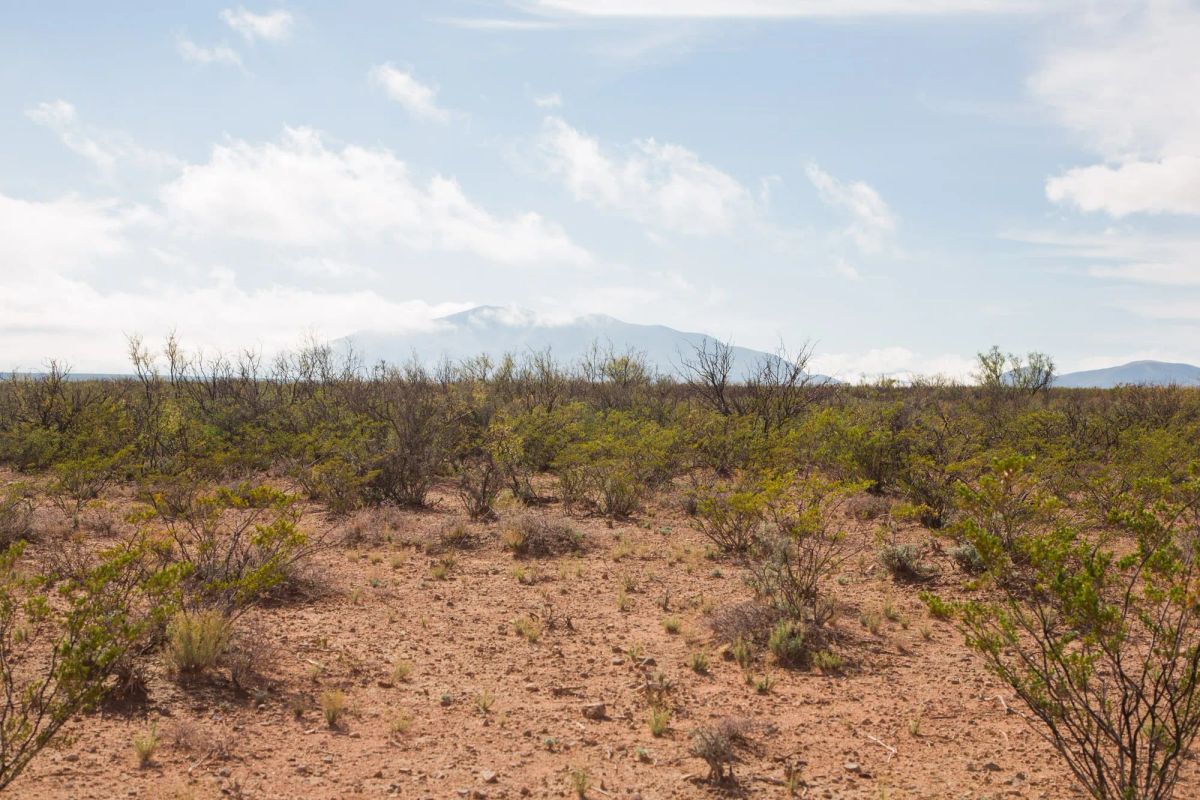 Sunset Ranches Tract 10 - Image 3