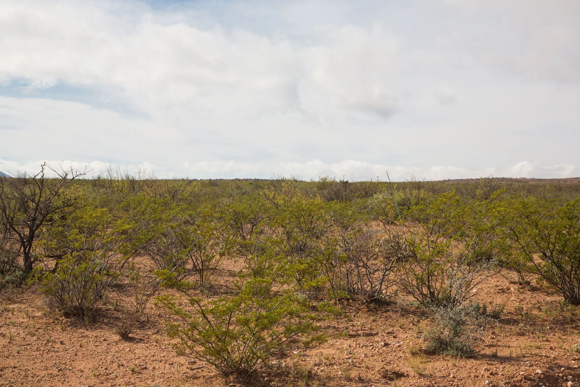 Sunset Ranches Tract 10 in Hudspeth County, TX