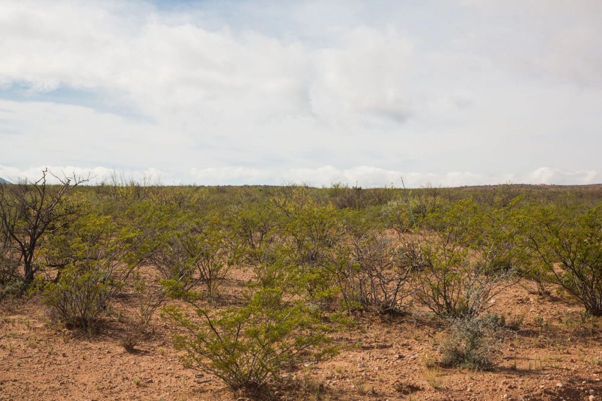 Sunset Ranches Tract 10 - Image 4