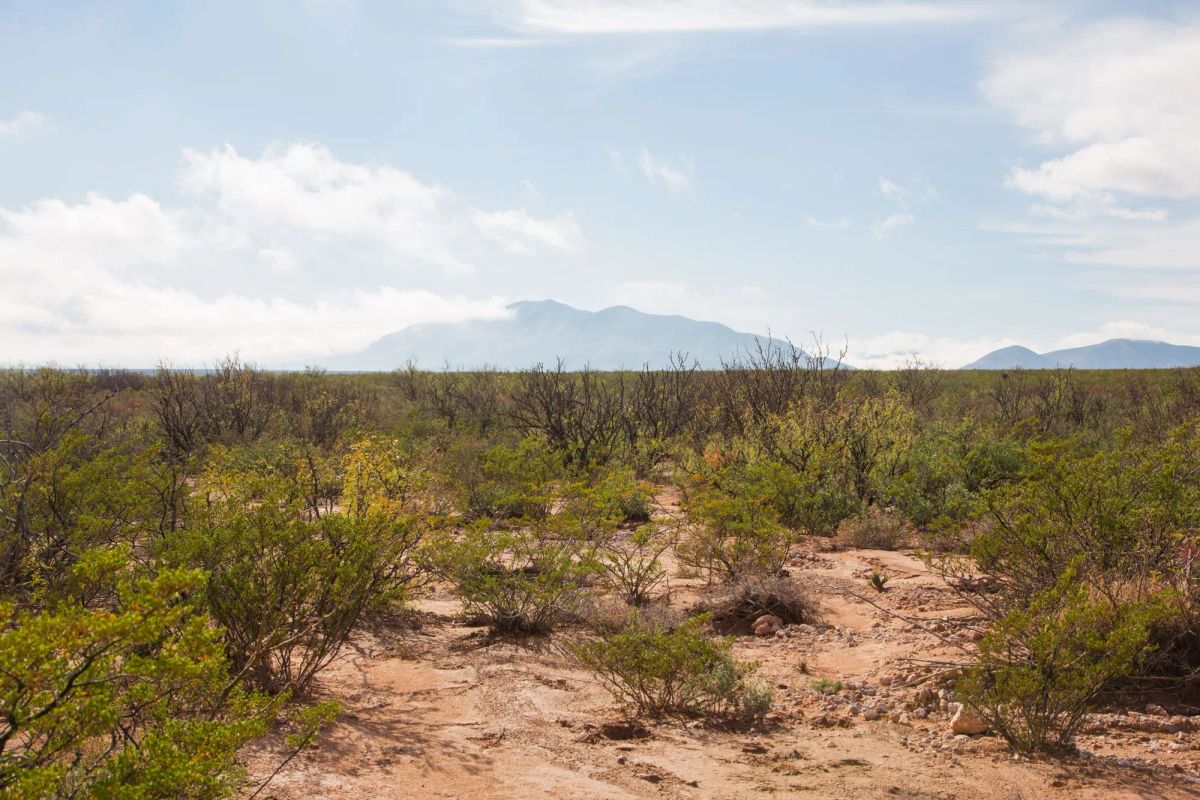 Decorative background for Sunset Ranches Tract 10 image 6