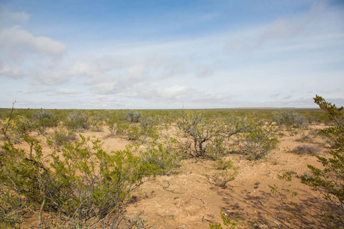 Decorative background for Sunset Ranches Tract 10 image 7