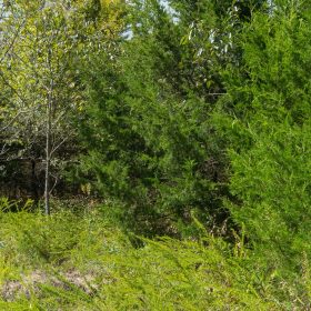 Reserves At Cattail Cove Phase II Tract 62 in Pittsburg County, OK