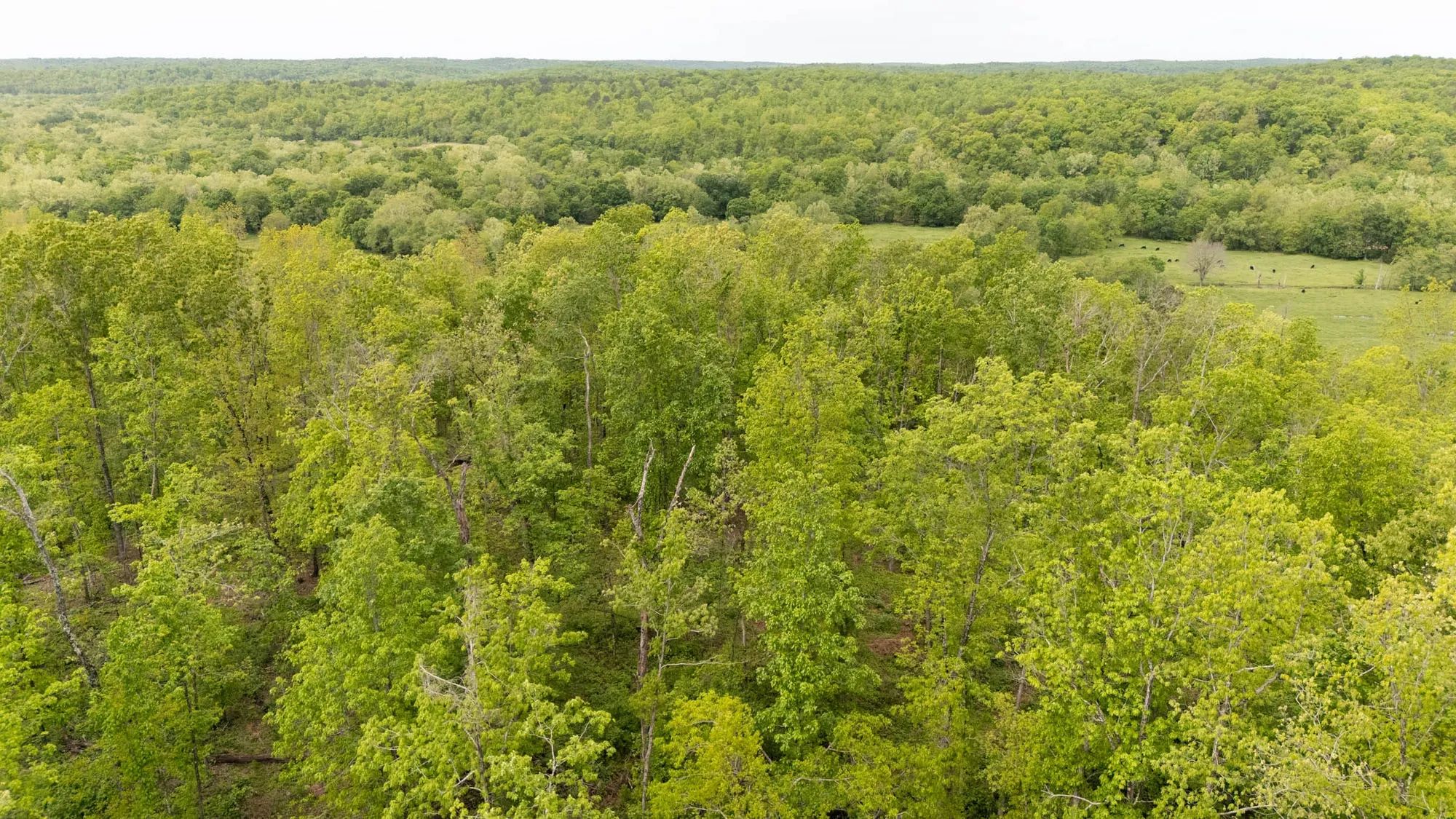 Stardust Estates Tract 15 in Reynolds County, MO