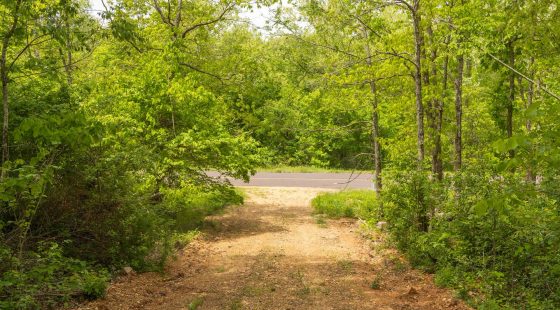 Stardust Estates Tract 15 in Reynolds County, MO