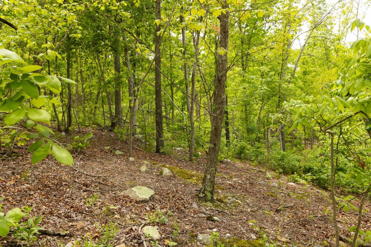 Stardust Estates Tract 15 - Image 4