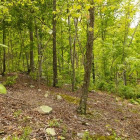 Stardust Estates Tract 15 in Reynolds County, MO