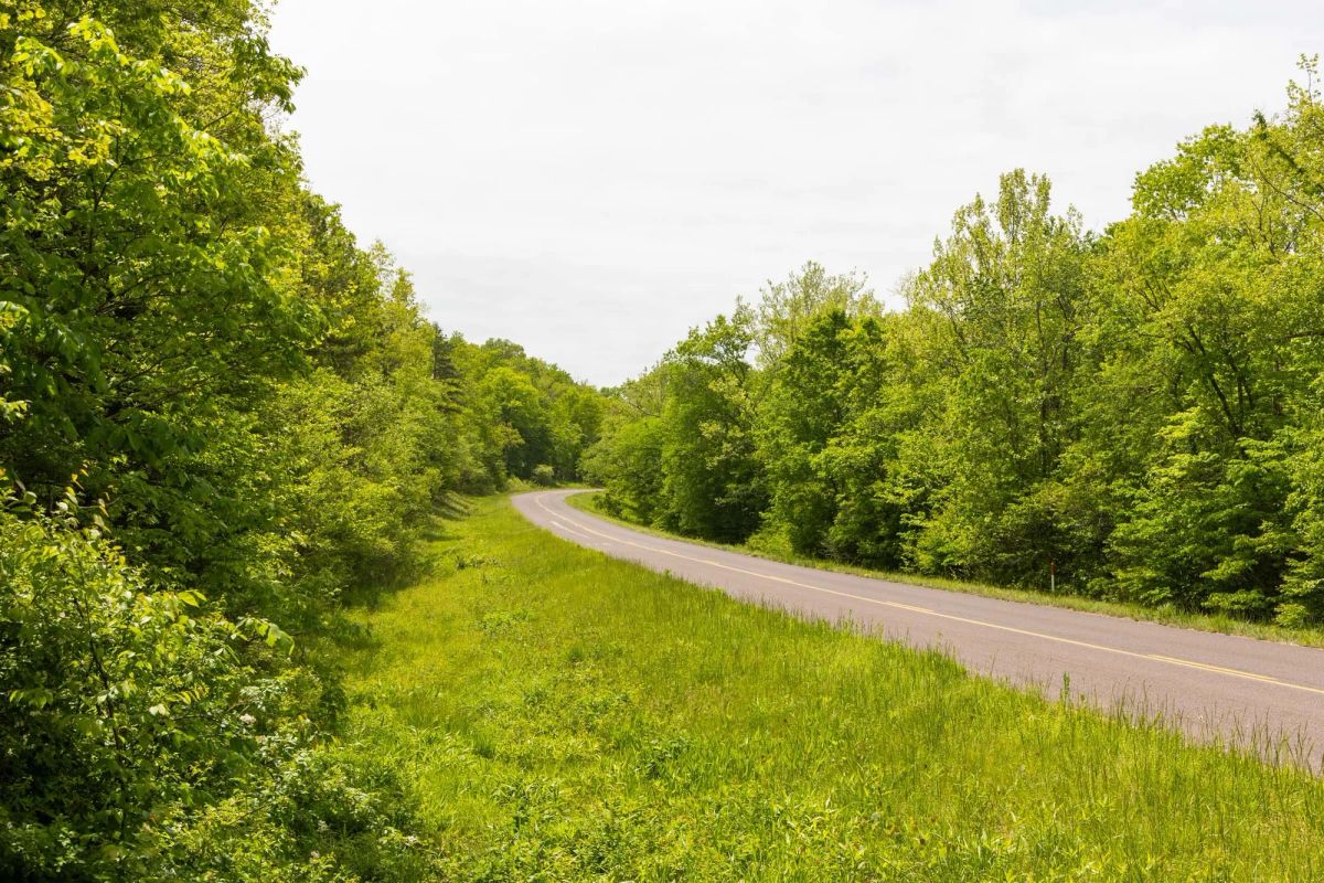 Decorative background for Stardust Estates Tract 15 image 6