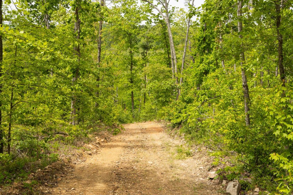Decorative background for Stardust Estates Tract 15 image 9