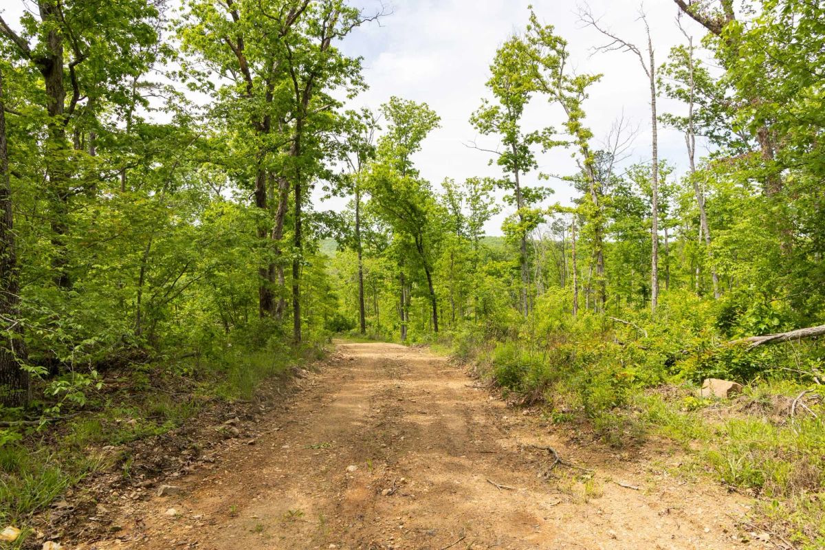 Decorative background for Stardust Estates Tract 15 image 13