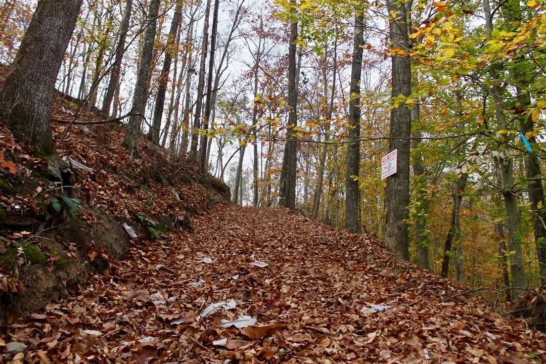 Autumn Ridge Tract 20 - Image 2
