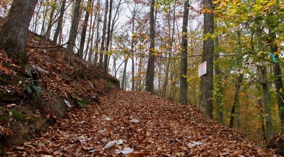 Autumn Ridge Tract 20 in Leslie County, KY