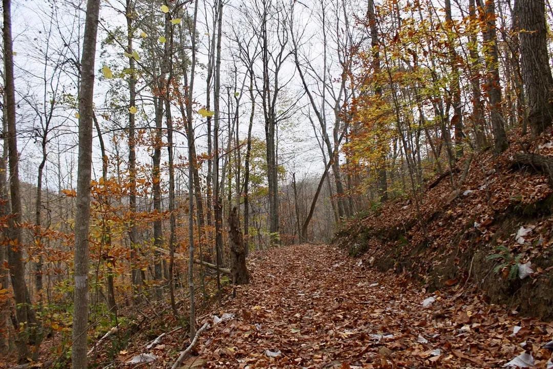 Autumn Ridge Tract 20 in Leslie County, KY