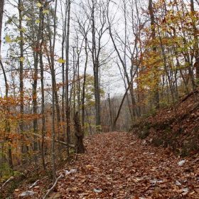 Autumn Ridge Tract 20 in Leslie County, KY